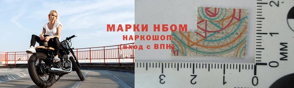 СК Алзамай
