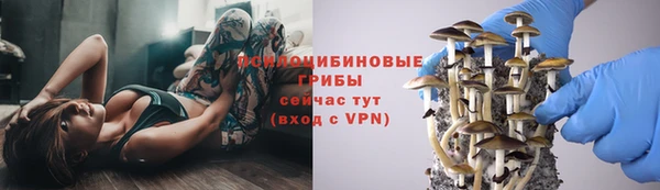 бошки Алексеевка