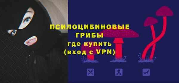 бошки Алексеевка