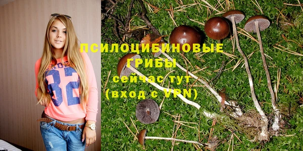 бошки Алексеевка