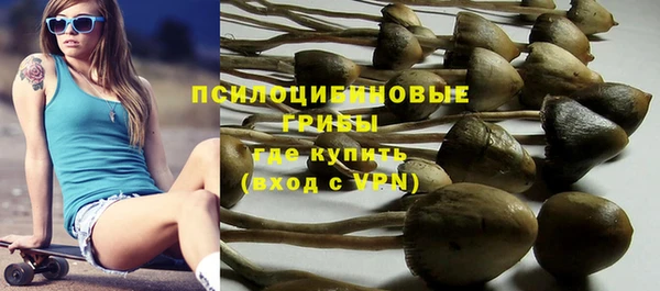 бошки Алексеевка