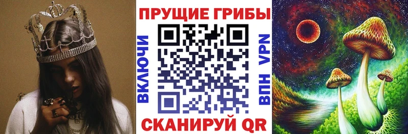 Галлюциногенные грибы GOLDEN TEACHER где купить наркоту Конаково