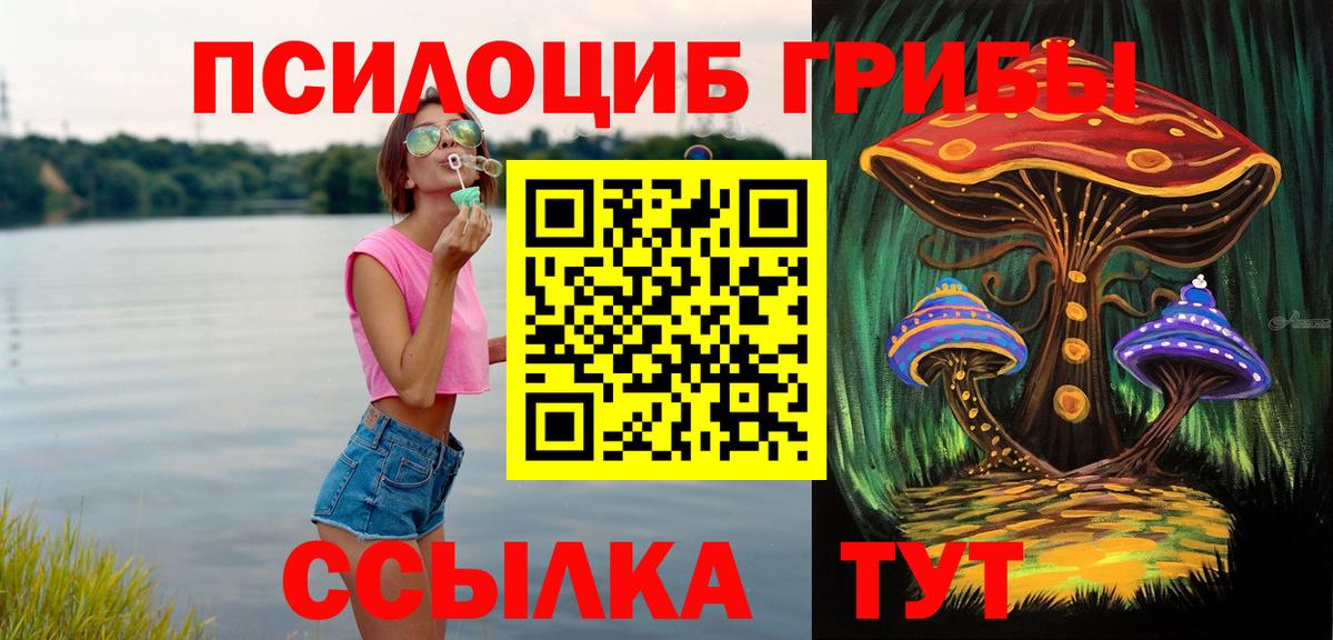 Псилоцибиновые грибы Psilocybe Конаково
